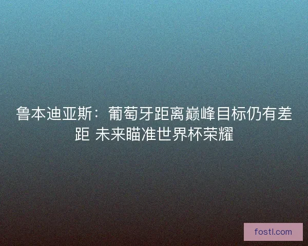 鲁本迪亚斯：葡萄牙距离巅峰目标仍有差距 未来瞄准世界杯荣耀